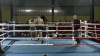Kick boxing : 2 KO et de beaux combats à Lucciana