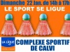 Complexe sportif Calvi-Balagne: Un tournoi de badminton au profit de la Ligue contre le cancer