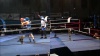 Boxe : Encore une soirée de gala réussie pour le Ring Bastiais