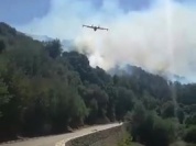 Vidéo : Les moyens aériens en  action à Porto