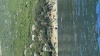 VIDEO - Des rorquals communs filmés à 500m des côtes près de Sagro