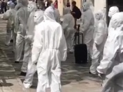 Video maques blancs.mp4