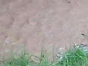 WhatsApp Video 2026-10-20 at 16.30.43.mp4