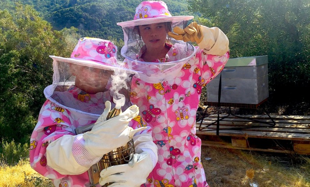 Figarella : Bergères des abeilles
