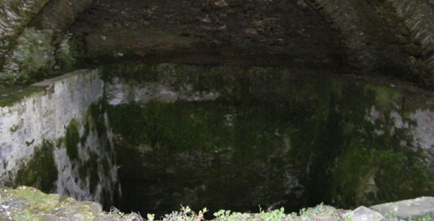 Les pompiers du Grimp sauvent un… veau dans les nivere de Cardu Les pompiers du Grimp sauvent un… veau dans les nivere de Cardu