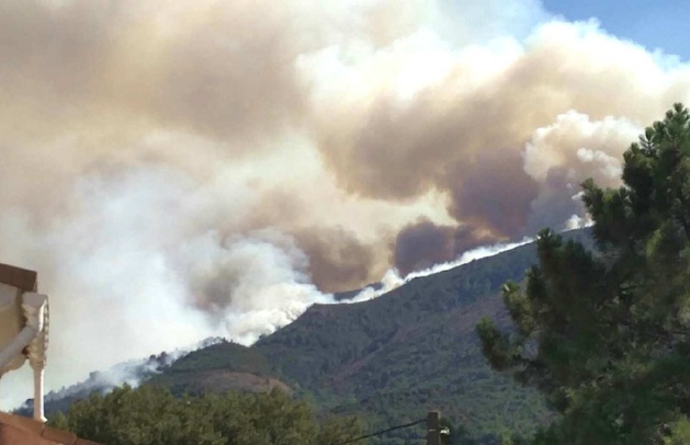 Corte : Plus de 145 hommes engagés sur l'incendie qui a parcouru 60 hectares