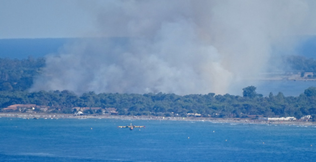 Borgu : Un feu de poubelle enflamme la pinède du cordon lagunaire de la Marana Borgu : Un feu de poubelle enflamme la pinède du cordon lagunaire de la Marana