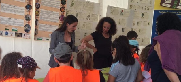 Festimonti in Carbuccia : 3 jours de fête dans la Haute-vallée de la Gravona