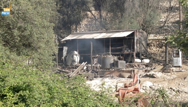 Incendie criminel d'Aregno : le maire condamne et apporte son soutien à Ange Orsini Incendie criminel d'Aregno : le maire condamne et apporte son soutien à Ange Orsini