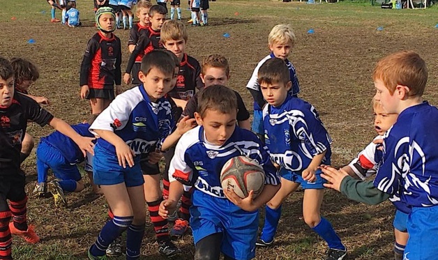 Rugby : Le blé qui lève… Rugby : Le blé qui lève…