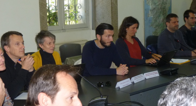 Xylella fastidiosa en Corse : Une lutte de tous les instants Xylella fastidiosa en Corse : Une lutte de tous les instants