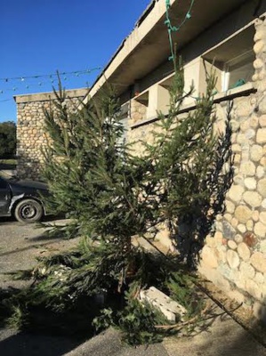 Ghisonaccia : L'arbre de Noël vandalisé à Saint-Antoine