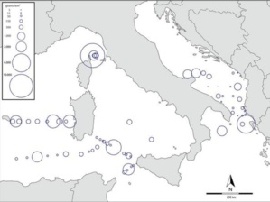 Pic de pollution entre la Corse et la Toscane : Dans la Tyrrhénienne on nage dans une « soupe de plastique »
