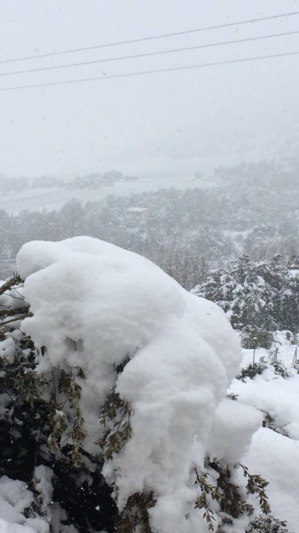 Ponte-Leccia (Jean-Daniel Olive) Ponte-Leccia (Jean-Daniel Olive)