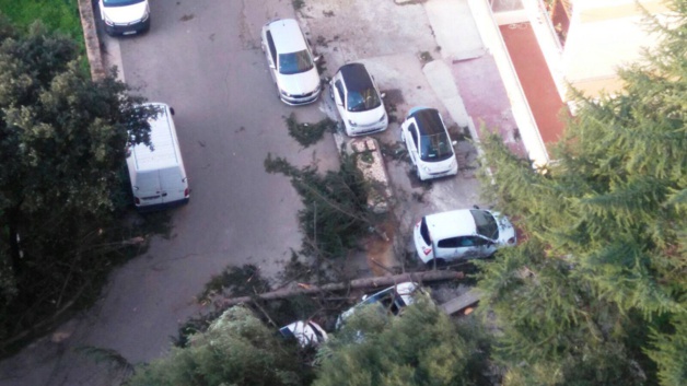 (Photo SDIS 2A) (Photo SDIS 2A)