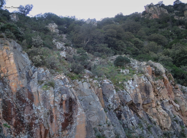 Paréidolies sur le chemin de l’Alta Rocca Paréidolies sur le chemin de l’Alta Rocca