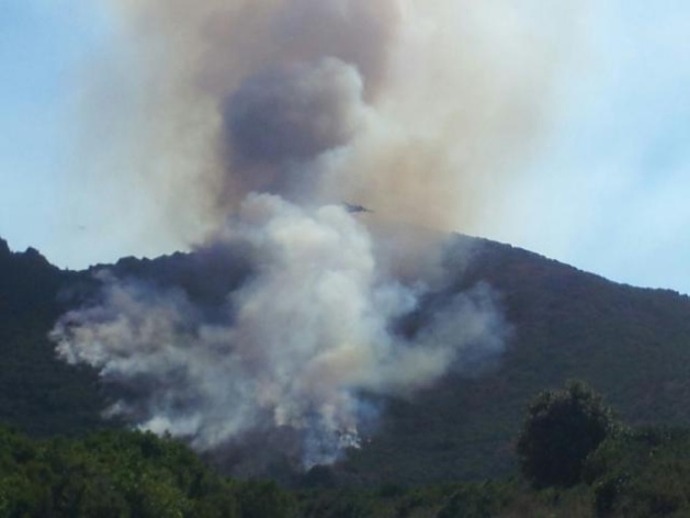 (Image d'illustration) (Image d'illustration)