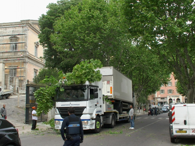 Bastia : Le poids lourd coincé sous les platanes Bastia : Le poids lourd coincé sous les platanes