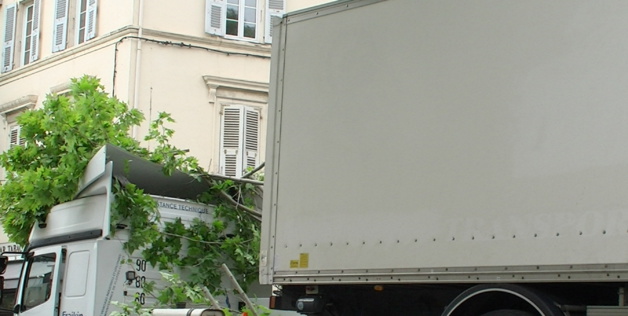 Bastia : Le poids lourd coincé sous les platanes Bastia : Le poids lourd coincé sous les platanes