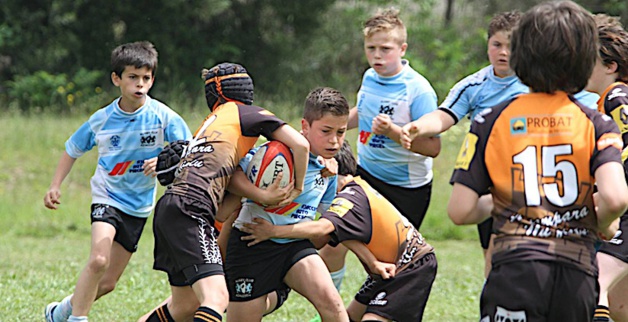 Ajaccio : Des "Piulelli" très prometteurs... Ajaccio : Des "Piulelli" très prometteurs...