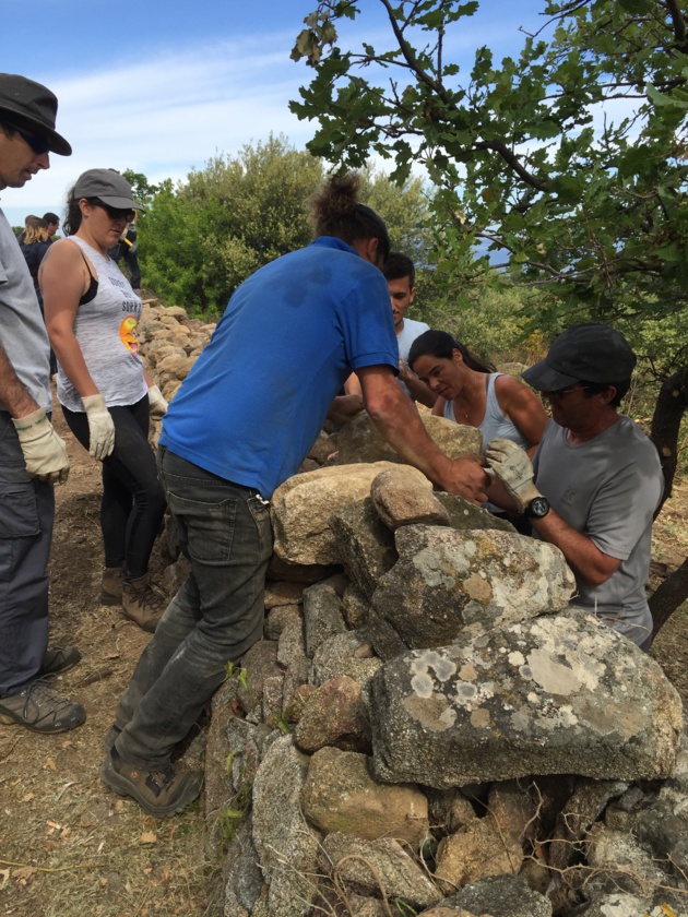 Balagne : Formations à la restauration des murs en pierres sèches pour les agents publics