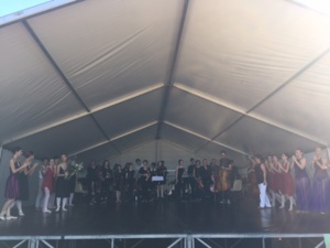 Furiani  : La musique a fêté la nature au parc de Fornacina 