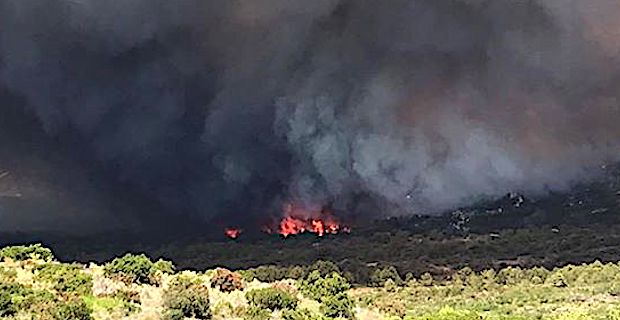 Bonifacio : Plus de 350 hectares détruits par les flammes