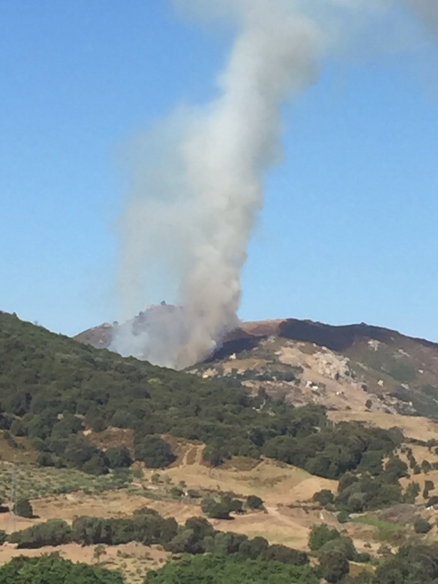 Important début d'incendie sur la route d'Alata Important début d'incendie sur la route d'Alata