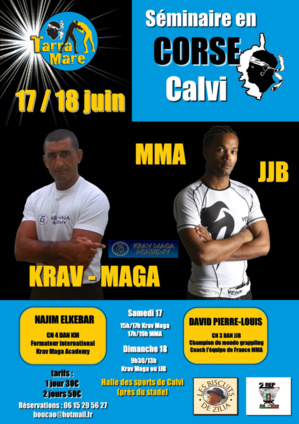 Séminaire de Jiu-jitsu et Krav Maga les 17 et 18 juin à Calvi. Séminaire de Jiu-jitsu et Krav Maga les 17 et 18 juin à Calvi.