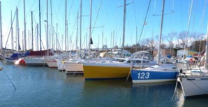 Plaine Orientale : Le dragage du Port de Taverna aurait pollué le Grand Herbier de posidonie avec l’aval de l’Etat ! Plaine Orientale : Le dragage du Port de Taverna aurait pollué le Grand Herbier de posidonie avec l’aval de l’Etat !