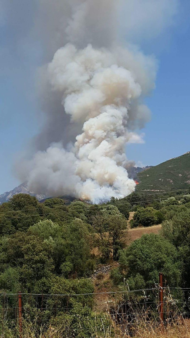 Important feu de maquis à Cuttoli Important feu de maquis à Cuttoli
