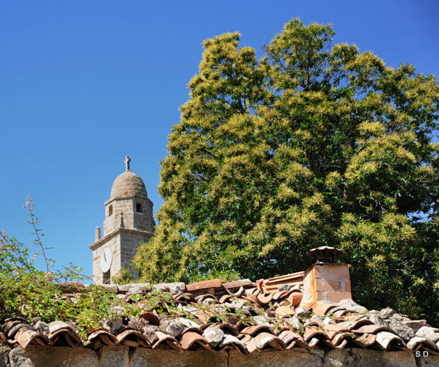 Alta Rocca : U campanili di Zirubia Alta Rocca : U campanili di Zirubia