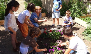 Scola di Miomu : U nostru ortu… Scola di Miomu : U nostru ortu…