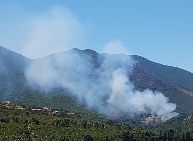 Crédit photo (V.H) Crédit photo (V.H)