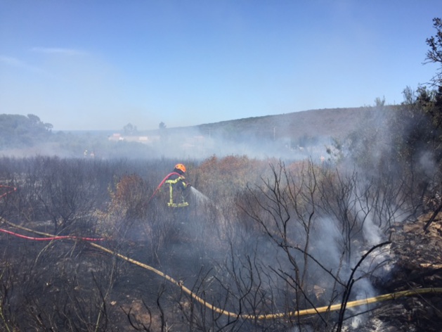 5 000 m2 de petit maquis brûlés à Calenzana 5 000 m2 de petit maquis brûlés à Calenzana