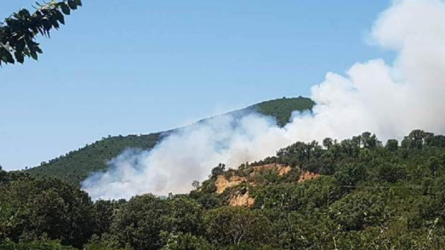 Incendies : Des foyers  en cours à Tavaco et dans le secteur de Porto