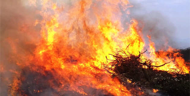 Lucciana : 2 hectares détruits par les flammes sur le cordon lagunaire de La Marana