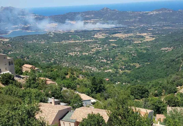 Incendies : Plusieurs foyers en Haute-Corse Incendies : Plusieurs foyers en Haute-Corse