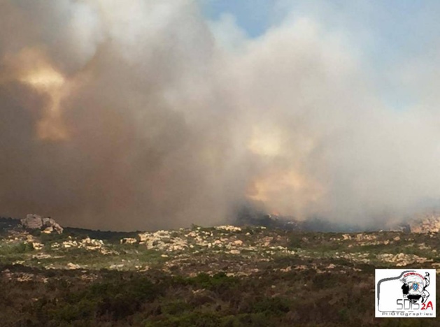 Important incendie à Bonifacio : Plus de 50 hectares, déjà, détruits