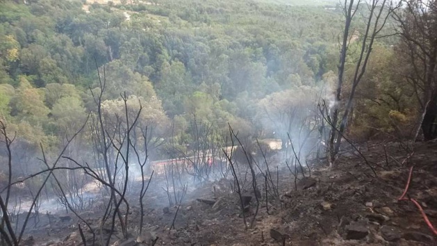 Violent incendie à Castellu-di-Rustinu. 5 hectares détruits à Veru Violent incendie à Castellu-di-Rustinu. 5 hectares détruits à Veru