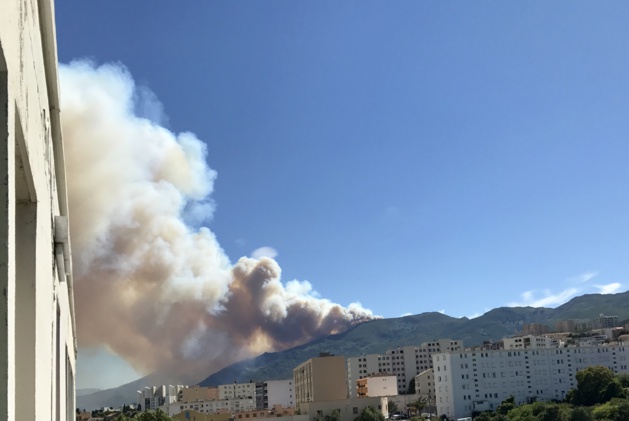 Incendies en Haute-Corse : Près d'une centaine d'hectares détruits 