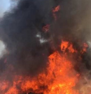 Photo archive CNI Photo archive CNI