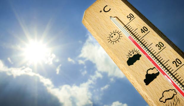 Canicule : Nouveaux records de températures et de consommation électrique, pas d’amélioration jusqu’à dimanche