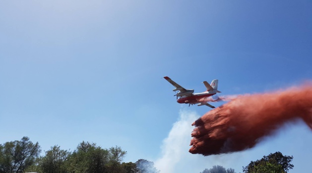 Ajaccio : Deux hectares partent en fumée au château de la Punta Ajaccio : Deux hectares partent en fumée au château de la Punta
