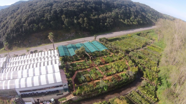 Produire local : Le parcours du combattant en Corse Produire local : Le parcours du combattant en Corse