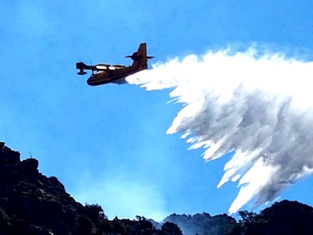 Incendies : Les sapeurs-pompiers de Haute-Corse confrontés à des conditions extrêmes Incendies : Les sapeurs-pompiers de Haute-Corse confrontés à des conditions extrêmes