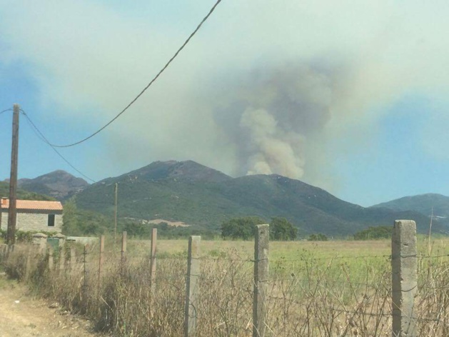 Incendie : Déjà 100 hectares détruits à Loreto di Tallano et Cargiaca Incendie : Déjà 100 hectares détruits à Loreto di Tallano et Cargiaca