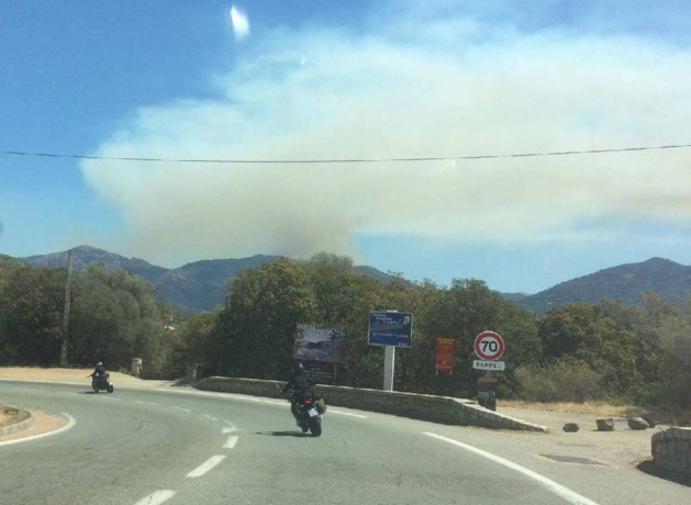 Incendie : Déjà 100 hectares détruits à Loreto di Tallano et Cargiaca Incendie : Déjà 100 hectares détruits à Loreto di Tallano et Cargiaca