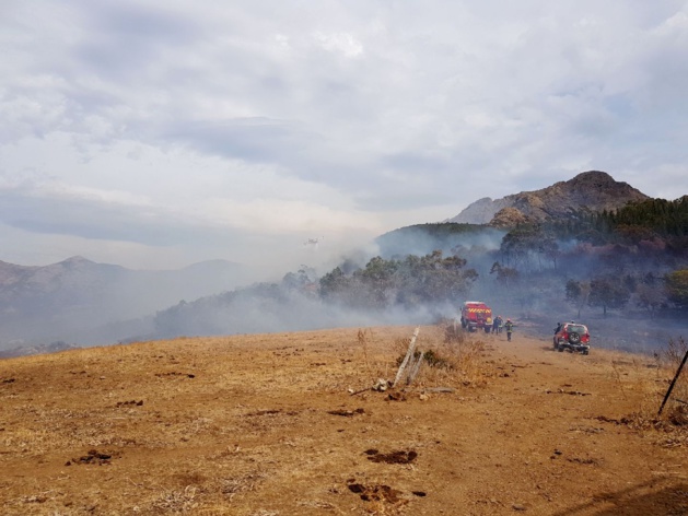 Photo archives CNI Photo archives CNI