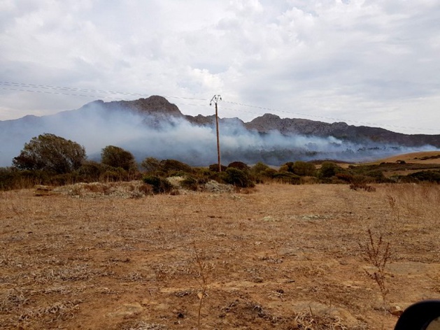 Le feu de l'Argentella maîtrisé : Plus de 4 hectares parcourus par les flammes Le feu de l'Argentella maîtrisé : Plus de 4 hectares parcourus par les flammes